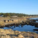 cambria2012_0217 (November 03, 2012)